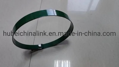 Q345b Steel Strapping Ribbon Package Green Colour Painted