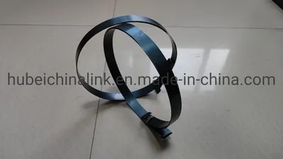 SAE1022 High Tensile Blue Tempered Steel Strapping
